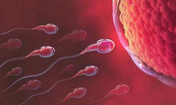 Mitos y realidades sobre la fertilidad 