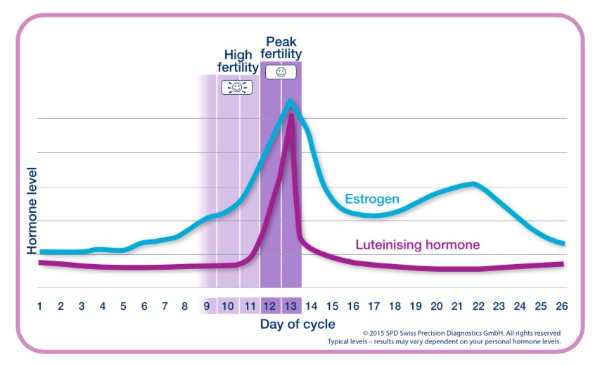 Niveles hormonales típicos durante el ciclo menstrual